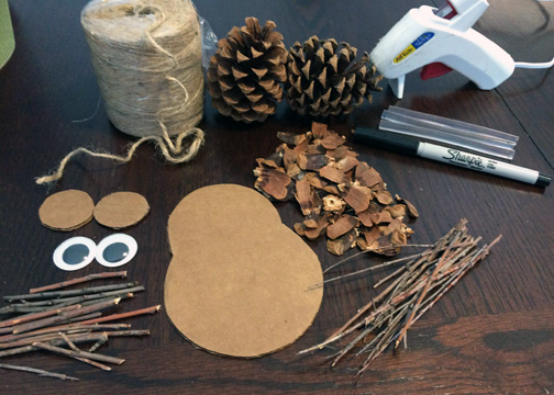 Pine Cone Owl