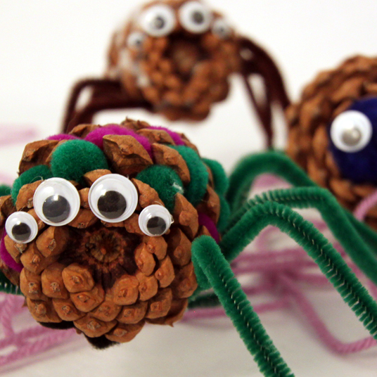Woolly Pine Cone Spider
