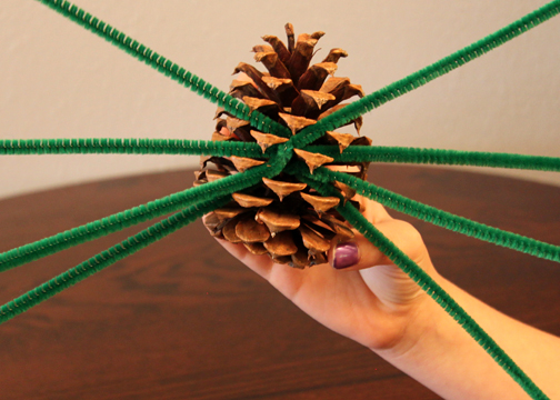 Pipe cleaner legs inserted into underside of a pine cone for spider craft