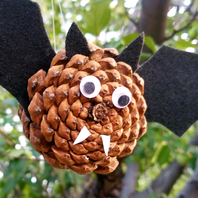 Pine Cone Bat