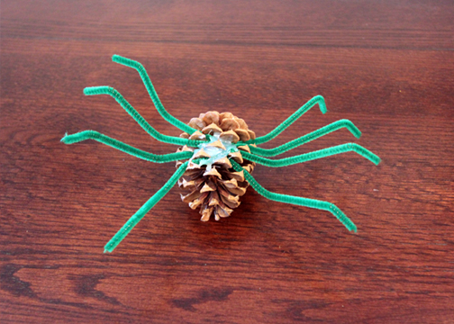 Bending the legs and feet of a pine cone spider to resemble a real spider stance