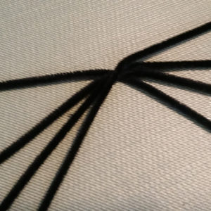 Spooky Pine Cone Spider