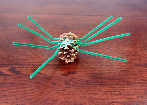 woollypineconespiderstep4