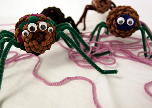 Woolly Pine Cone Spider