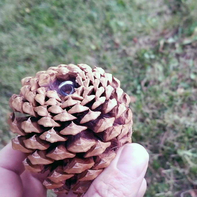 Pine Cone Ornament Hook
