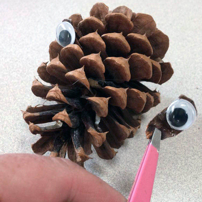 Pine Cone Rudolph Eyes 2