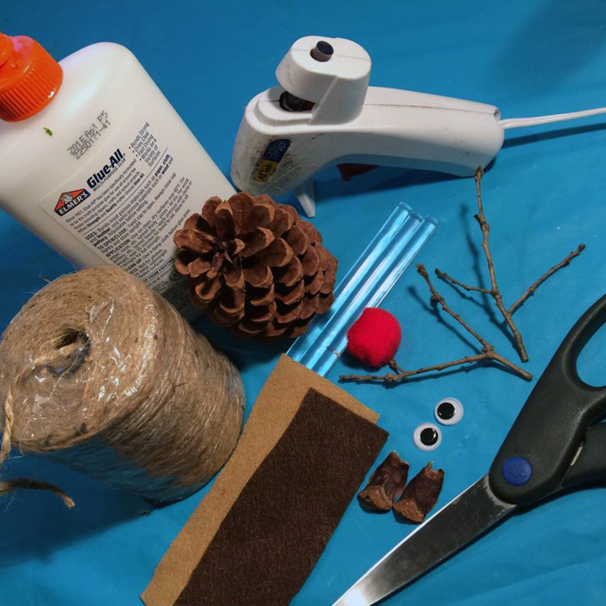 Pine Cone Rudolph Materials