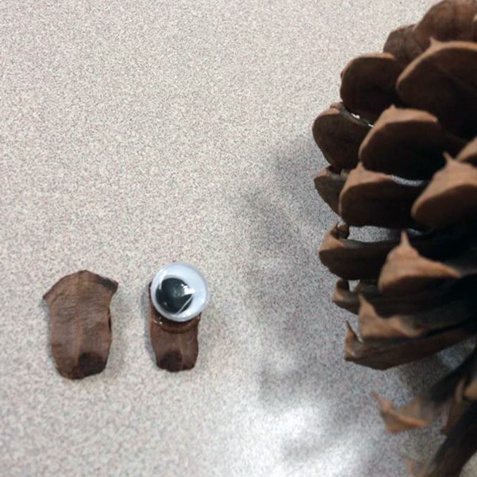 Pine Cone Rudolph eyes